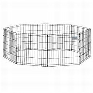 רשת אילוף, גורים 61 רשת אילוף, גורים 61