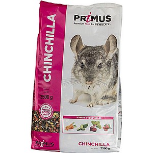 CHINCHILLA CHINCHILLA