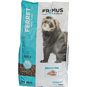 FERRET
