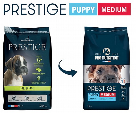 PRESTIGE ������ ���� 3 ��� ���� ��� ������ 