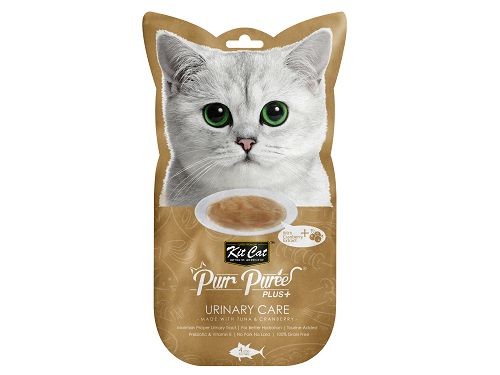 KIT CAT