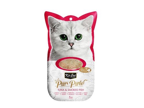 KIT CAT